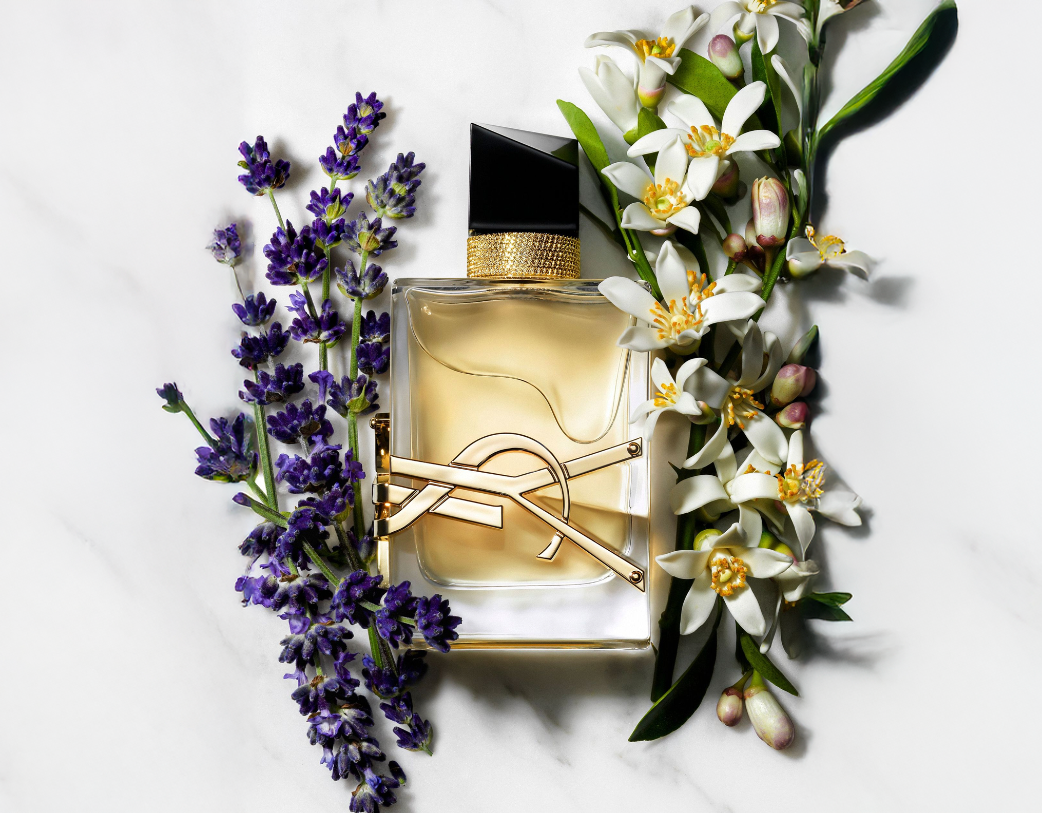 Yves Saint Laurent Perfume
