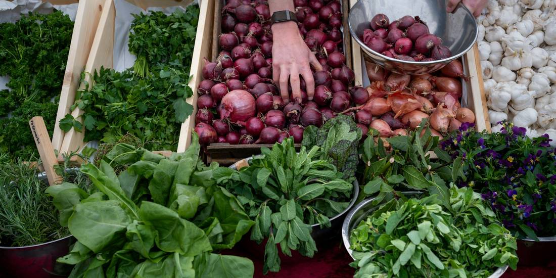 Fresh greens, red onions and garlic in crates at a market stall